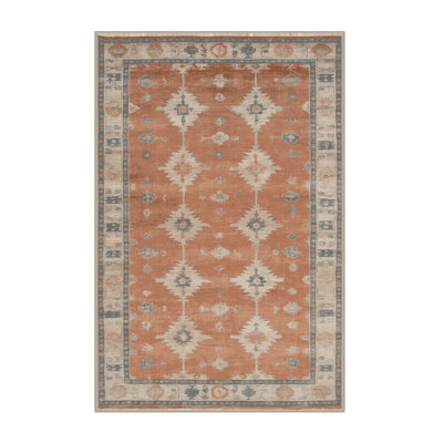 Machine Washable Overdyed Brown Area Rug