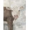 «My Little Friend III» par Sonia Noir - peinture sur toile tendue