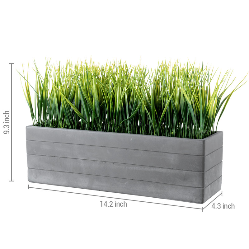 23.49cm Faux Onion Grass Grass in Cement Planter