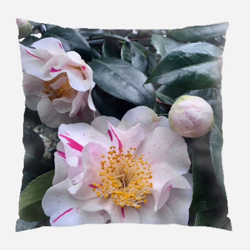 Coussin décoratif Morell, Microsuède, Intérieur