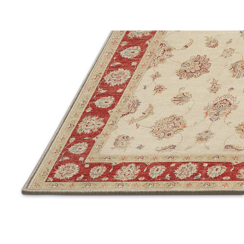 Tapis traditionnel brun / beige Grudnitski, Rectangle 3 pi x 5 pi