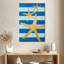 Gold coast starfish color Aletra-108359019