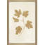 Botanical Study III Gold Crop - Peinture-940370897-940370898