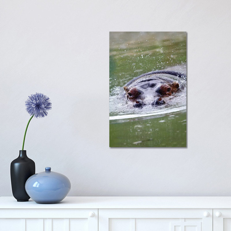 Hippo II by Goran Anastasovski - Wrapped Canvas Print, 30.48 cm H x 45.72 cm W