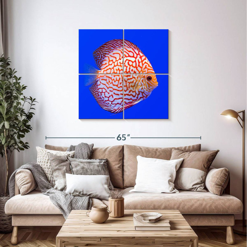 Brampt Exotic Discus Fish, 38" H x 38" W