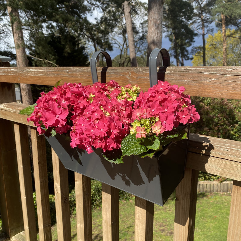 Andropolis Metal Railing Planter, Grey