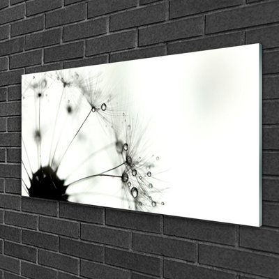 Floral Dandelion - No Frame Print on Glass
