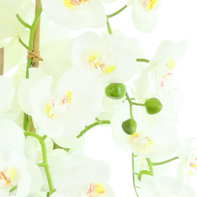 Orchid Arrangement in a Round Ceramic Vase