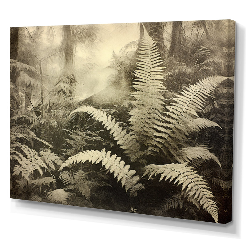 Green Fern Scenery V sur toile, H 12 po x l 20 po x P 1 po, Toile tendue