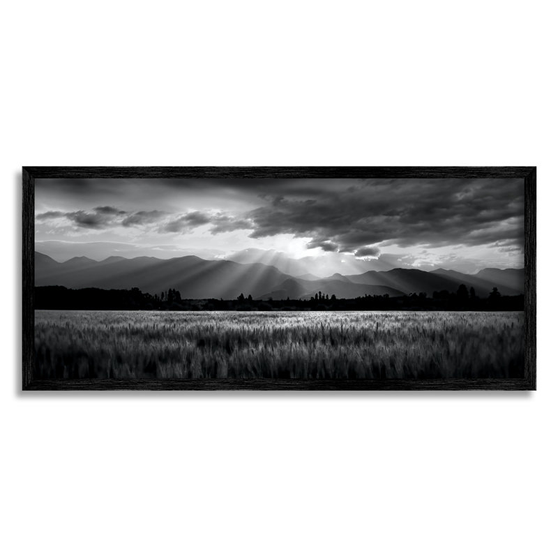 «Sun Rays Field Landscape» encadré sur bois par Steve Toole, Giclée encadrée noir minuit, H 13 po x l 30 po x P 1,5 po
