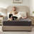 BEDLORE® (Set of 2) Noiseless Waterproof Mattress Protector, Hypoallergenic Quilted Washable Mattress Cover, Breathable Mattress Pad With 6-18'' Deep Pocket-39170409-39170412-39170324