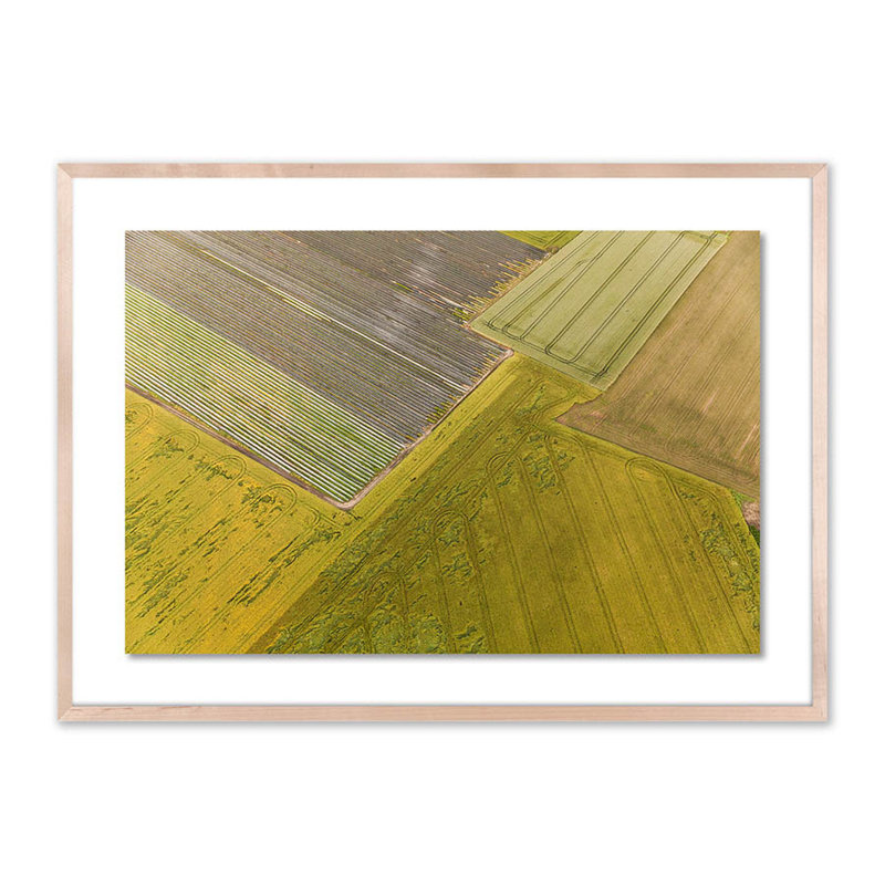 Fields I Print by Jakob Wagner, Natural, 29" H x 40" W x 2.5" D