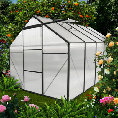 Serre de 6 x 10 pi avec toit réglable et cadre extérieur thermolaqué toutes saisons pour plantes