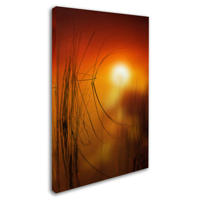 « nature time machine », reproduction de photo sur toile tendue encadrée