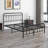 Hidalgo Metal Platform Bed-118303750-118303756