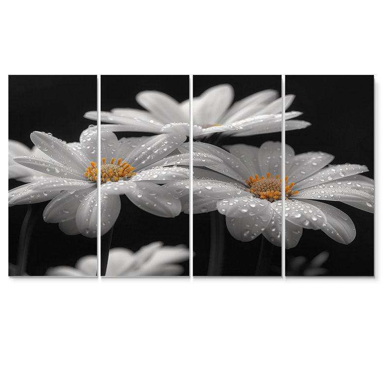 Monochromes noir et blanc «Bliss Daisy Photo III - Daisies», ensemble d'art mural, H 32 po x l 64 po