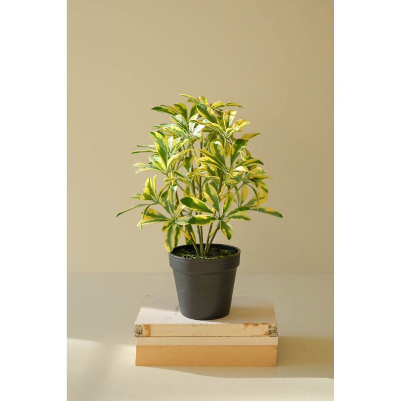  Décoration de bureau artificielle en plastique artificiel vert Schefflera