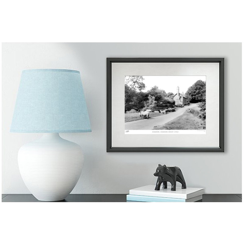 Exmoor, Exmoor Sheep C1965 - Single Picture Frame Print, 60cm H x 80cm W x 2.3cm D