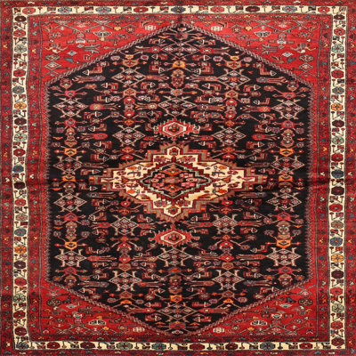 Oriental Indoor Rug