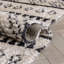 Maya Moroccan Area Rug-58143790