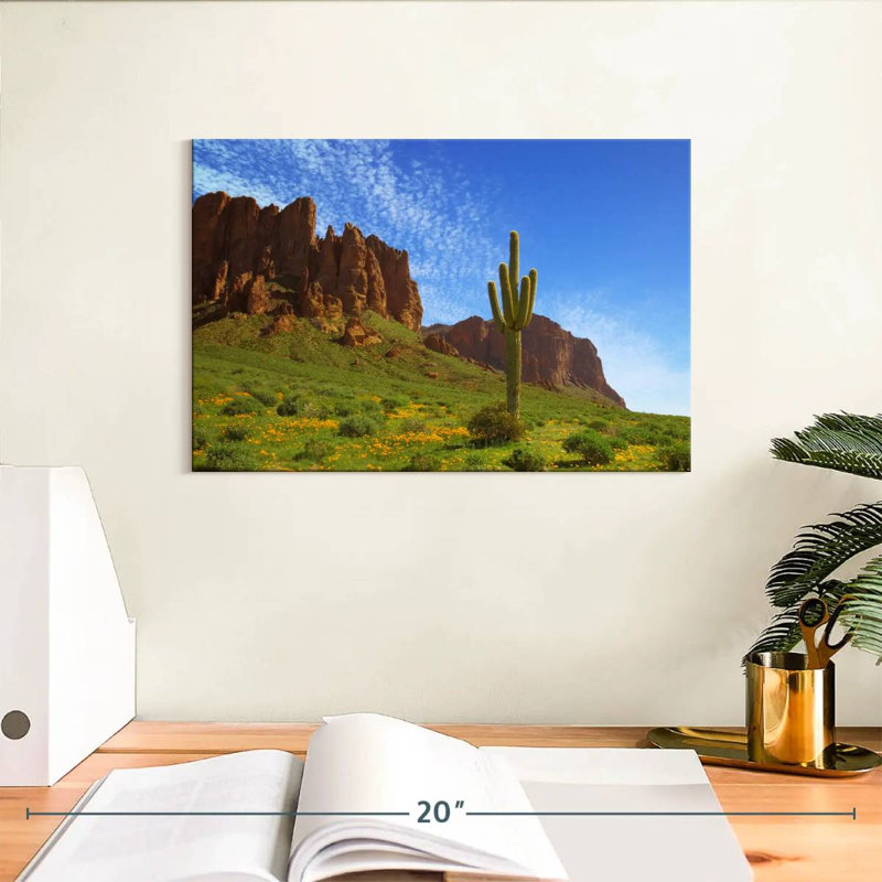 Cactus d'Alvord en vue de prospecteur, H 8 po x l 12 po