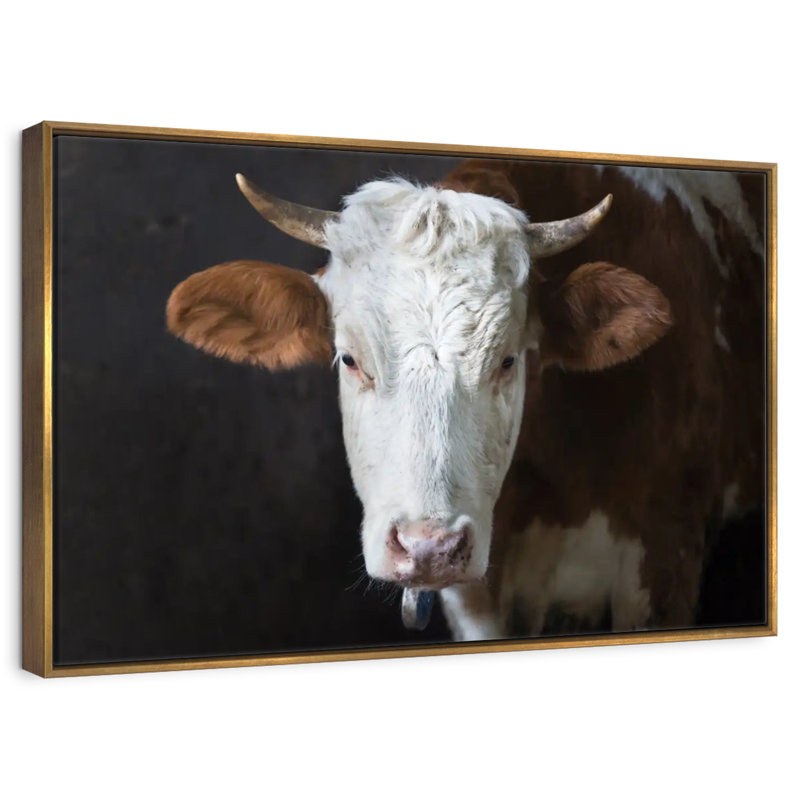 Visage de vache sérieux, Cadre flottant doré, 43 po x 29 po