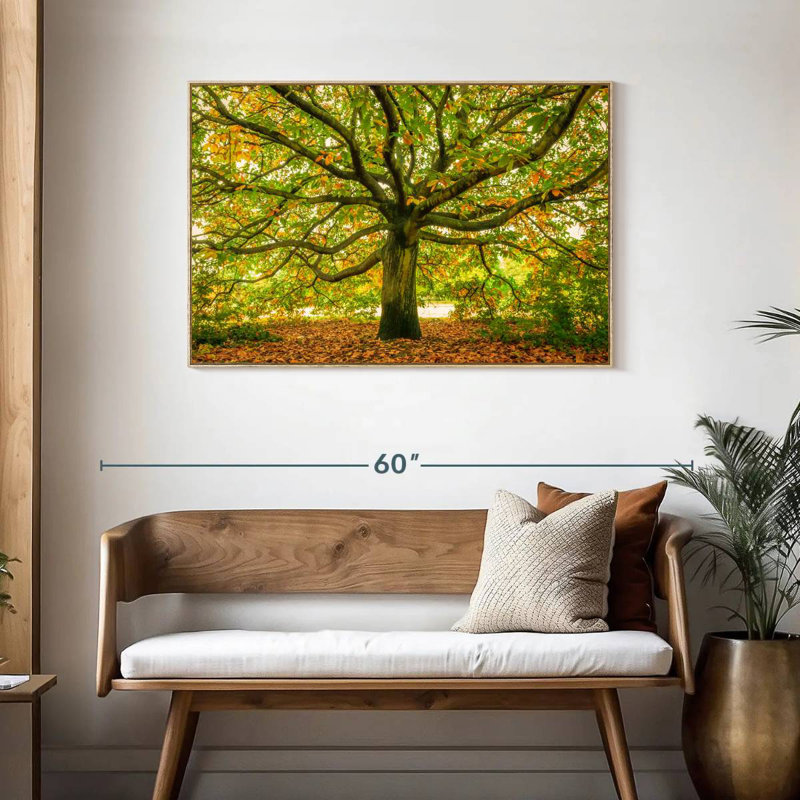 Chêne de Londres, Cadre flottant en bois naturel, 43 po x 29 po