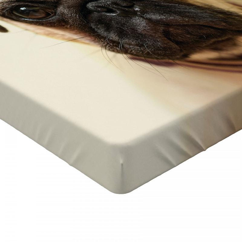 Microfiber Fitted Sheet, Queen Fitted Sheet