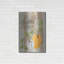 «Gather Pumpkins» par Cindy Jacobs-1367452921