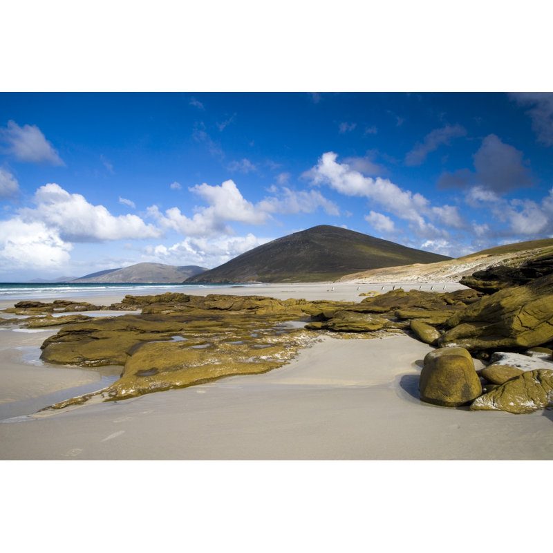 Scène de plage Falkland par Mlenny, H 24 po x l 36 po