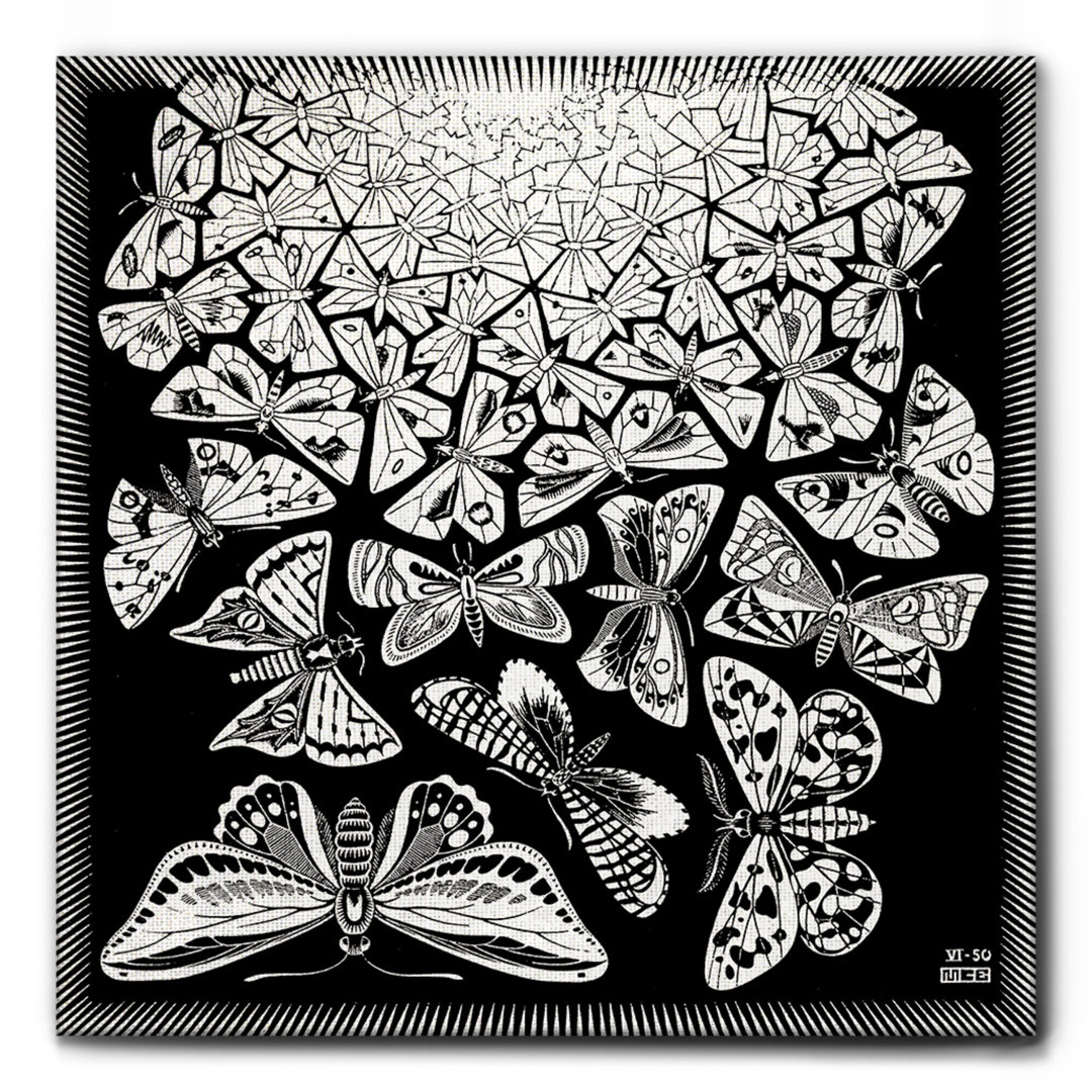 Leinwandbild Butterflies von M.C. Escher