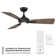 Mykonos 52" 3 - Blade Outdoor/Indoor Smart Ceiling Fan with Remote Control and LED Light Kit Included, Works With Alexa and iOS or Android App