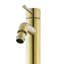 Robinet de bidet Ivy-53509427