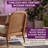 Mid-Century Modern Accent Chair Set - Walnut Frame with Rattan Backrest & Plush Cushions-1238149449