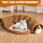 Chat, lit, tubes, jouets, tapis amovibles pour chats, lapins, cochons d'Inde-1039758257