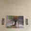 Customer photo 2 of 3