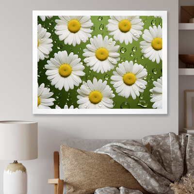 " Fields Of White Daisy Florescence Dreams I "
