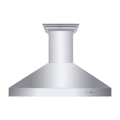 48" Professional Ducted Wall Mount Range Hood in Stainless Steel