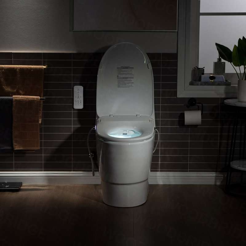 Toilette une pièce avec siège de bidet intelligent, télécommande sans fil / siège chauffant / eau chaude / sécheuse / fermeture en douceur