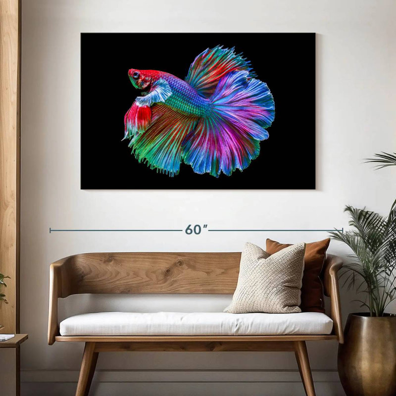 Poisson Betta chromatique, H 32 po x l 48 po