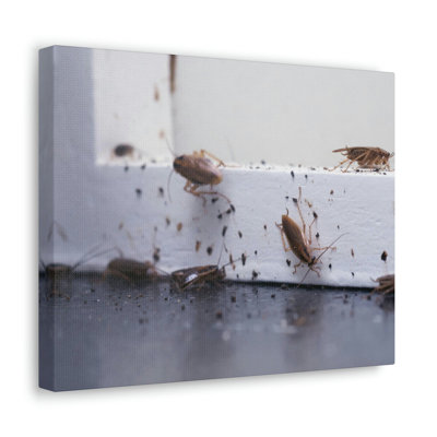 No Frame Print on Canvas