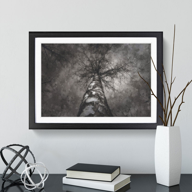 Birch Tree - Picture Frame Painting, 27cm H x 36cm W x 2cm D, Black Framed