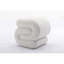 017S-S-Shape Teddy-1297249086