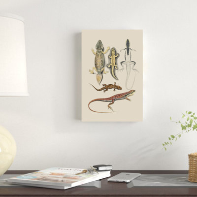 Lézards antiques IV