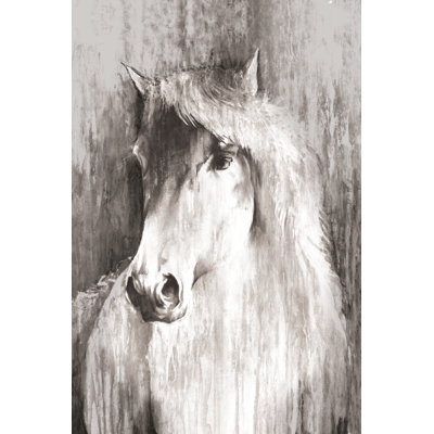 Grey Painted Horse Texture 2 - Wrapped Canvas Painting