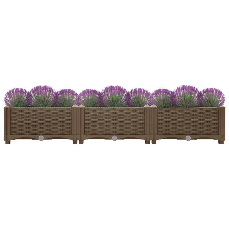Dakota Fields Raised Bed Polypropylene, Brown, 23cm H x 120cm W x 40cm D