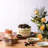 1815 Brights Tapas 9.4" Dessert Plate