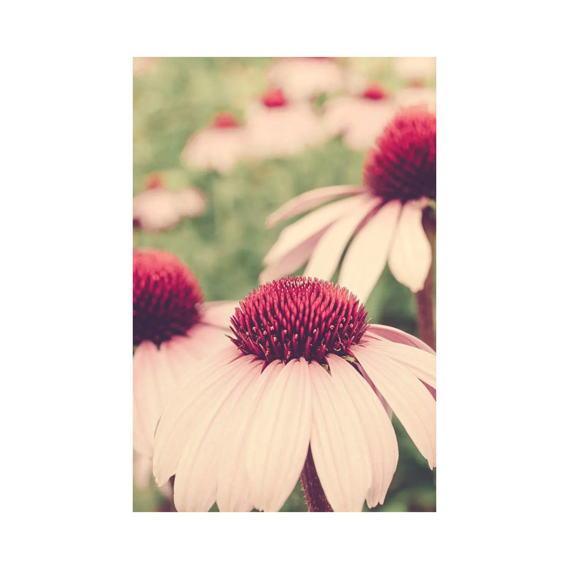 Summer Botanical I by Olivia Joy StClaire - Wrapped Canvas Print, 66.04 cm H x 45.72 cm W x 3.175 cm D