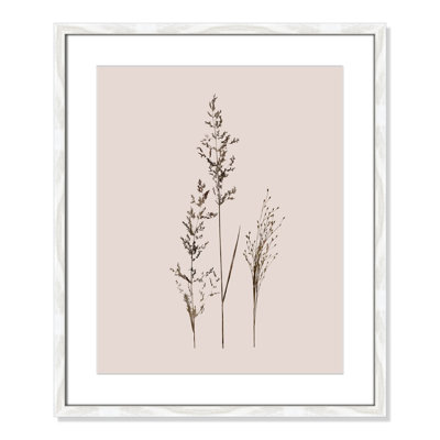 Delicate Stems I by Carol Robinson - Single Picture Frame Print -  Birch Lane™, E8BF3ACBCC274298BBD75C6417A5F974