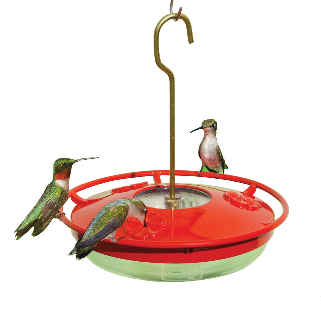 Hanging Hummingbird Feeder Aspects Inc